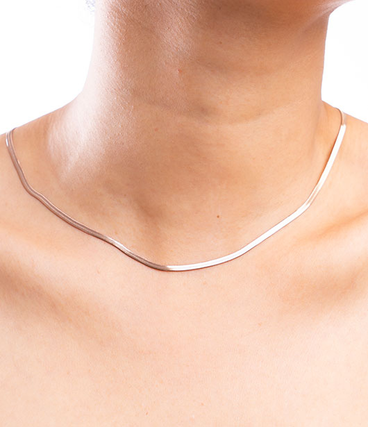 Silver Snake Chain Necklace